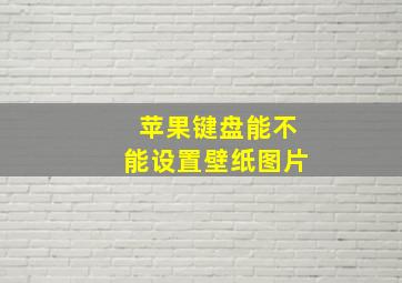 苹果键盘能不能设置壁纸图片