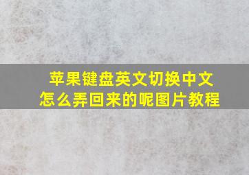 苹果键盘英文切换中文怎么弄回来的呢图片教程