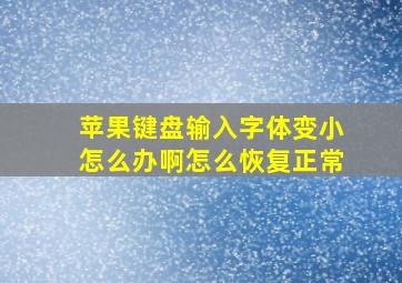 苹果键盘输入字体变小怎么办啊怎么恢复正常