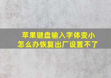 苹果键盘输入字体变小怎么办恢复出厂设置不了