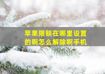 苹果限额在哪里设置的啊怎么解除啊手机