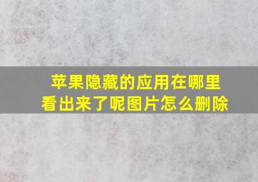 苹果隐藏的应用在哪里看出来了呢图片怎么删除