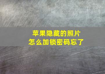 苹果隐藏的照片怎么加锁密码忘了