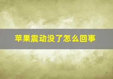 苹果震动没了怎么回事