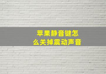 苹果静音键怎么关掉震动声音