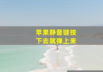 苹果静音键按下去就弹上来