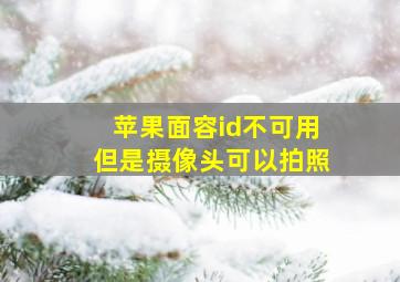 苹果面容id不可用但是摄像头可以拍照