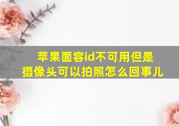 苹果面容id不可用但是摄像头可以拍照怎么回事儿