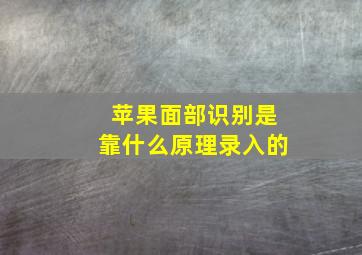 苹果面部识别是靠什么原理录入的