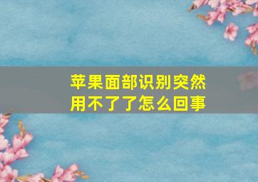 苹果面部识别突然用不了了怎么回事