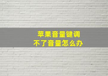 苹果音量键调不了音量怎么办