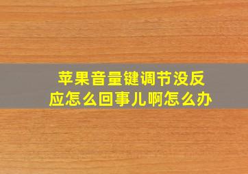 苹果音量键调节没反应怎么回事儿啊怎么办