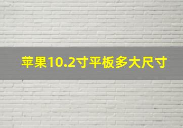 苹果10.2寸平板多大尺寸