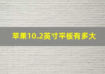 苹果10.2英寸平板有多大