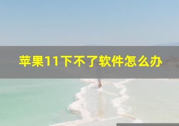 苹果11下不了软件怎么办