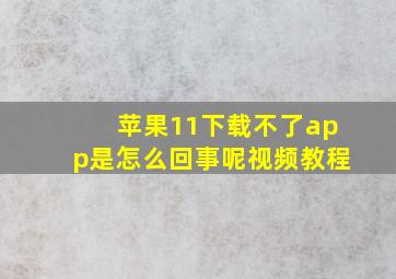 苹果11下载不了app是怎么回事呢视频教程