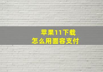 苹果11下载怎么用面容支付