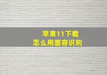 苹果11下载怎么用面容识别