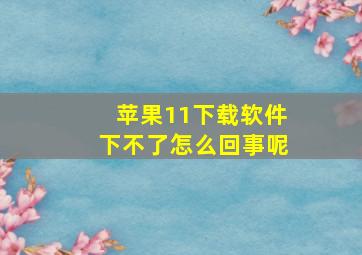 苹果11下载软件下不了怎么回事呢