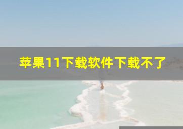 苹果11下载软件下载不了