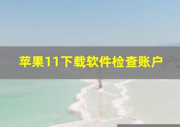 苹果11下载软件检查账户