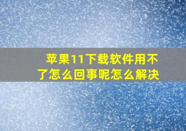 苹果11下载软件用不了怎么回事呢怎么解决