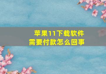 苹果11下载软件需要付款怎么回事