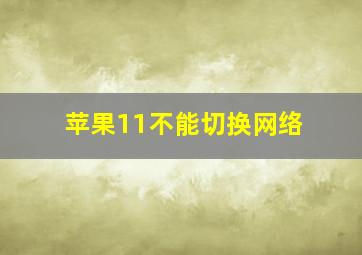 苹果11不能切换网络