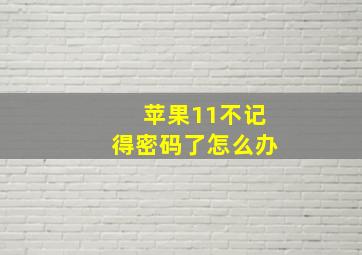 苹果11不记得密码了怎么办