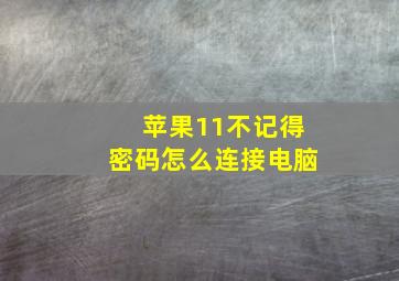 苹果11不记得密码怎么连接电脑