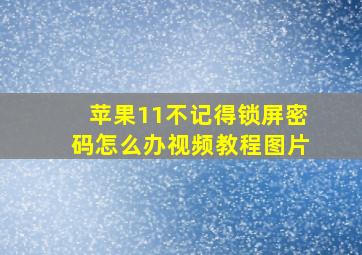 苹果11不记得锁屏密码怎么办视频教程图片