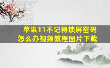 苹果11不记得锁屏密码怎么办视频教程图片下载