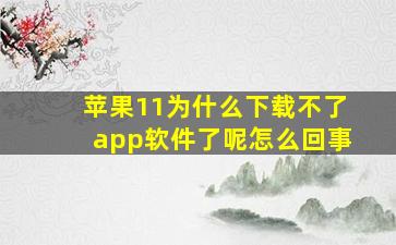 苹果11为什么下载不了app软件了呢怎么回事