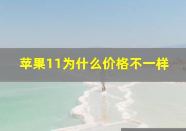 苹果11为什么价格不一样