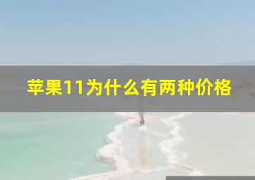 苹果11为什么有两种价格