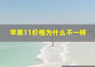 苹果11价格为什么不一样