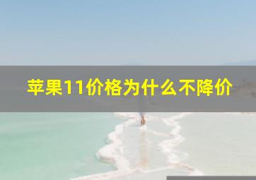 苹果11价格为什么不降价