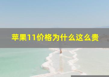 苹果11价格为什么这么贵