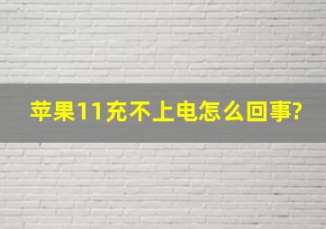 苹果11充不上电怎么回事?