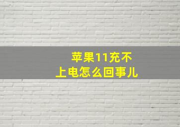 苹果11充不上电怎么回事儿