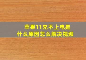 苹果11充不上电是什么原因怎么解决视频