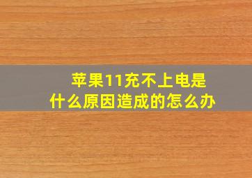 苹果11充不上电是什么原因造成的怎么办