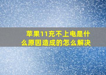 苹果11充不上电是什么原因造成的怎么解决