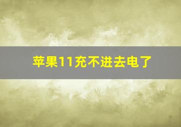 苹果11充不进去电了