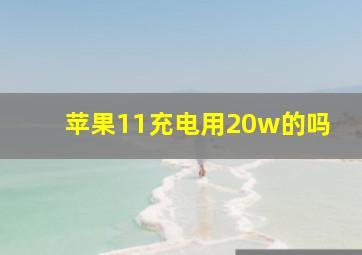 苹果11充电用20w的吗