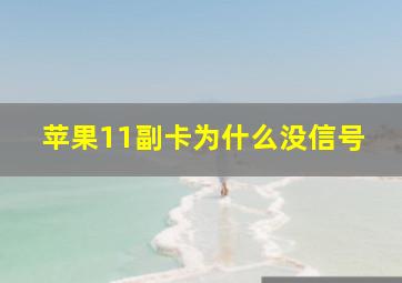 苹果11副卡为什么没信号