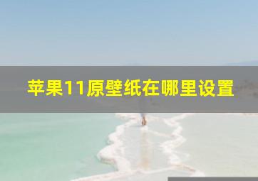 苹果11原壁纸在哪里设置