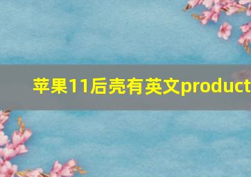 苹果11后壳有英文product