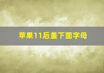 苹果11后盖下面字母