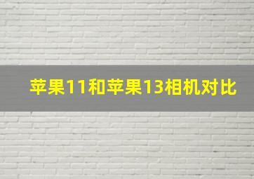 苹果11和苹果13相机对比